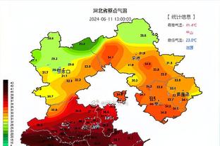 阿里纳斯：大梦不是比邓肯更好的球员 但他比邓肯更有技巧